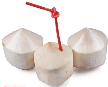 coconut 1 coconut 1