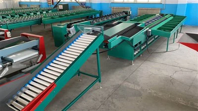 Dvouřádkový stroj na třídění ovoce avokáda