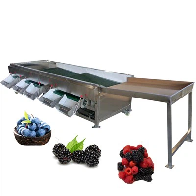 Čerstvý Grader Borůvka Třídič